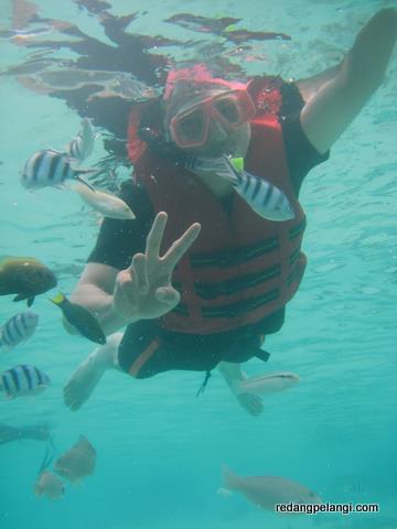 Redang Pelangi Snorkeling